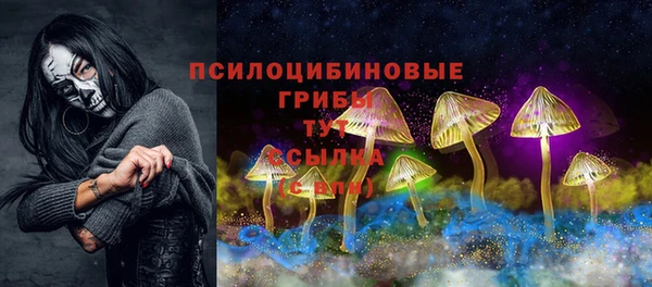 спайс Кулебаки